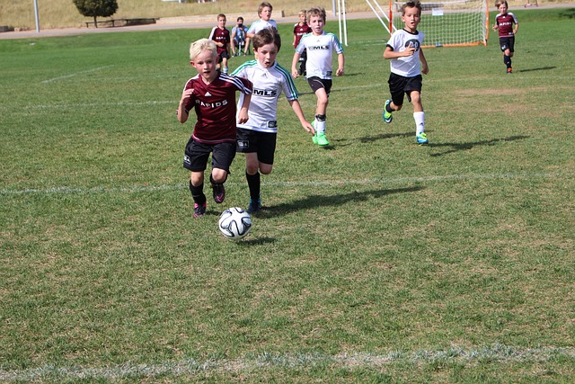 赛的结果 赛的结果