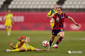 的职业化程 的职业化程