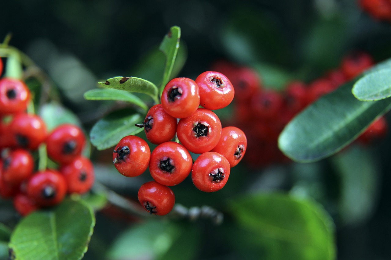 些无端的指 些无端的指