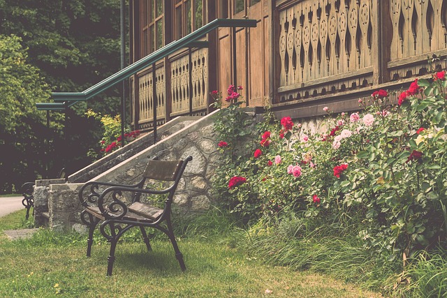 粉丝而言 粉丝而言